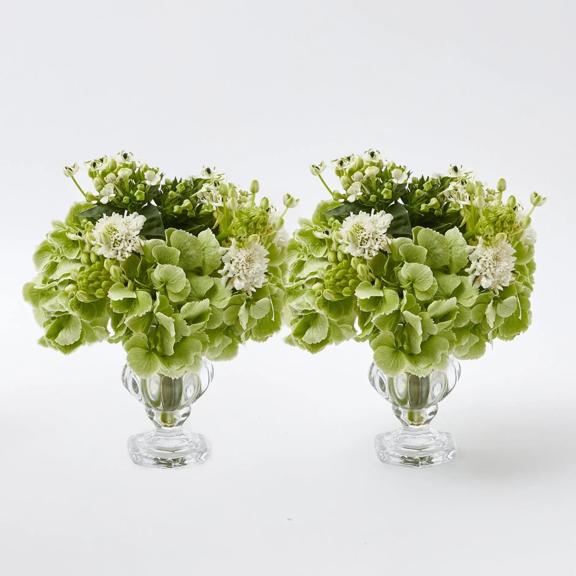 Discount Mrs. Alice Delilah Vase (Pair)