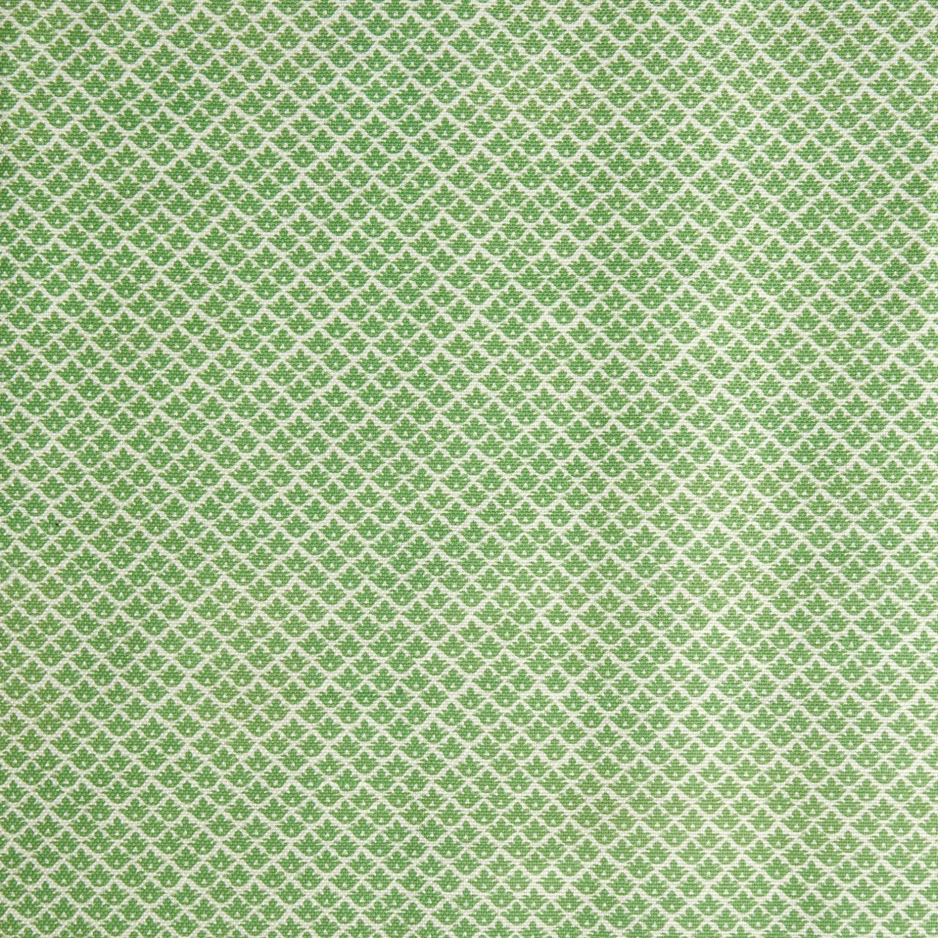Mrs. Alice Green Lotus Flower Fabric