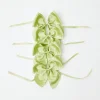 New Mrs. Alice Green Saddle Stitch Napkin Bows (Set Of 4)