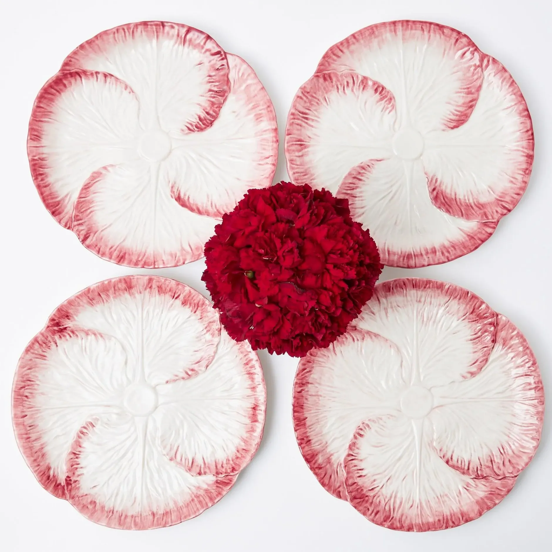 Clearance Mrs. Alice Pink Capri Lettuce Dinner Plate (Set Of 4)