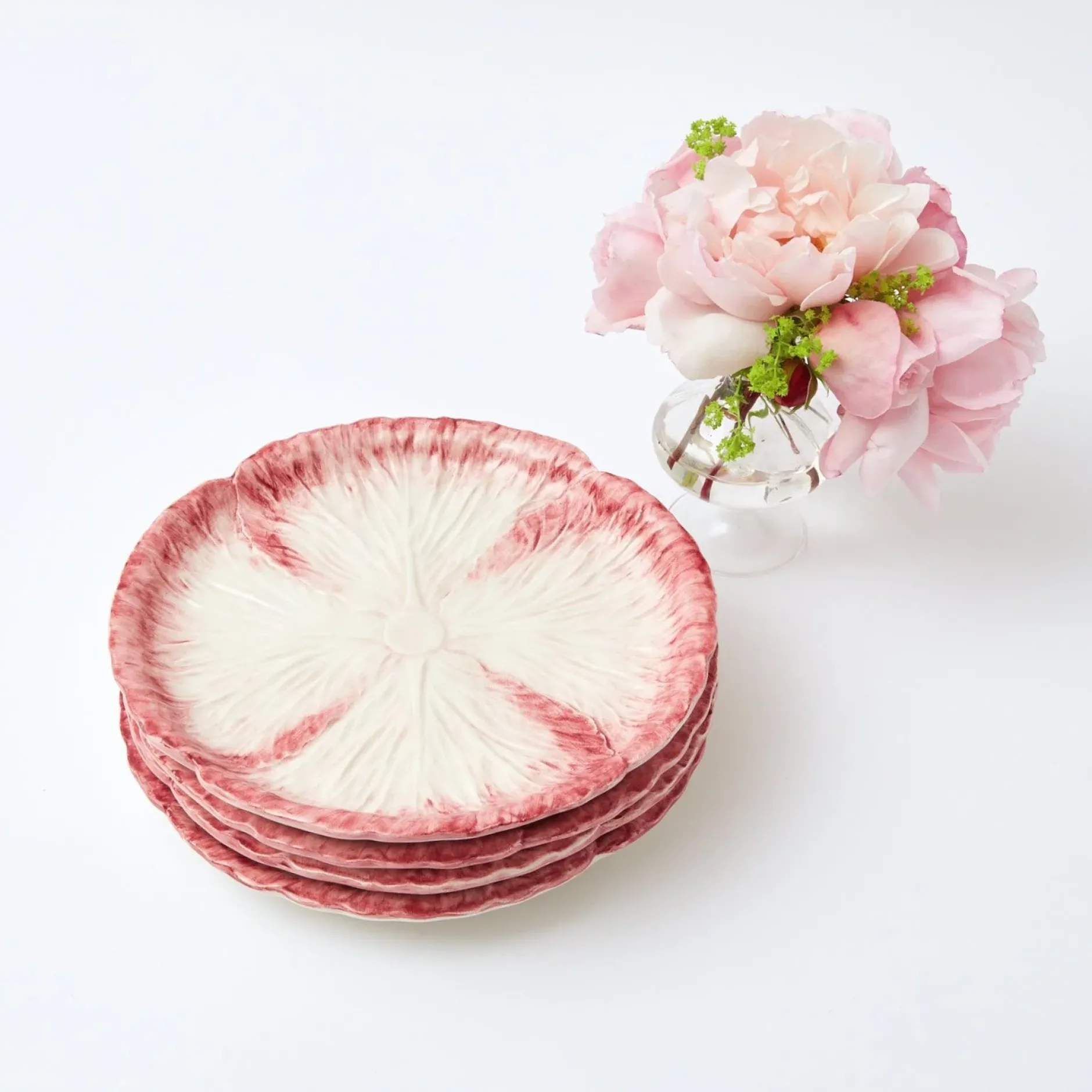 Online Mrs. Alice Pink Capri Lettuce Starter Plate