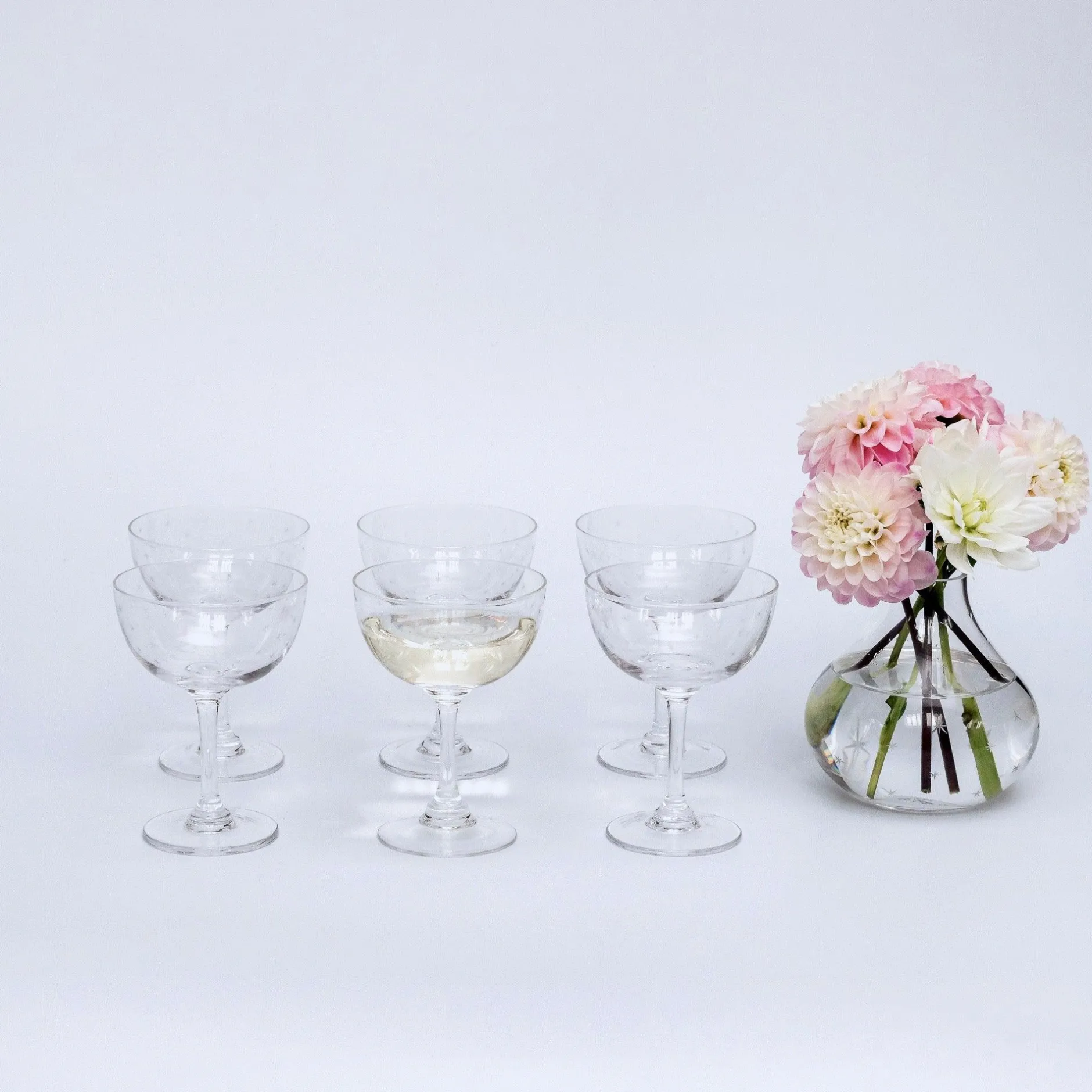 Mrs. Alice Poppy Prosecco Coupe (Set Of 6)