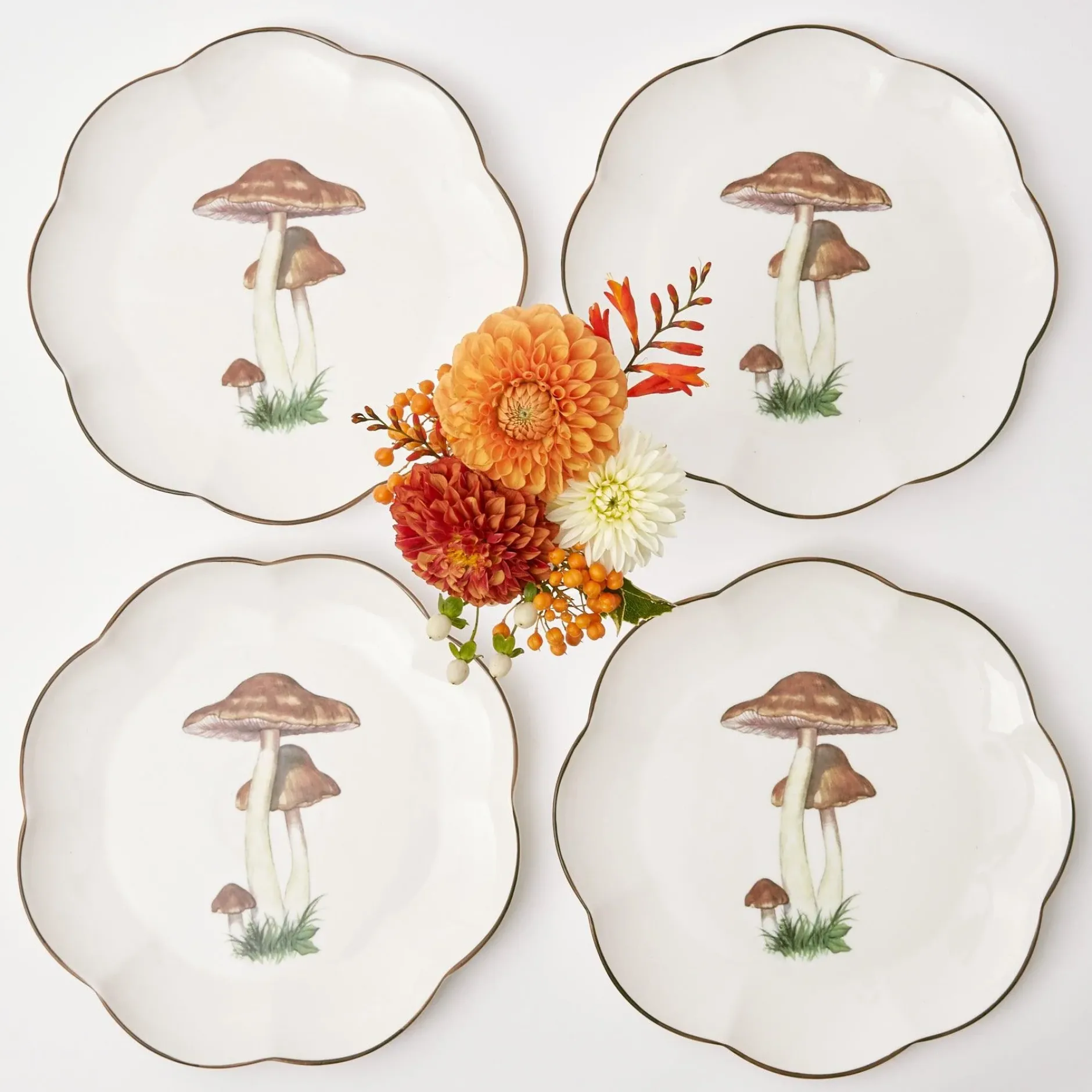 Mrs. Alice Scalloped Mushroom Dinner Plate (Set Of 4)