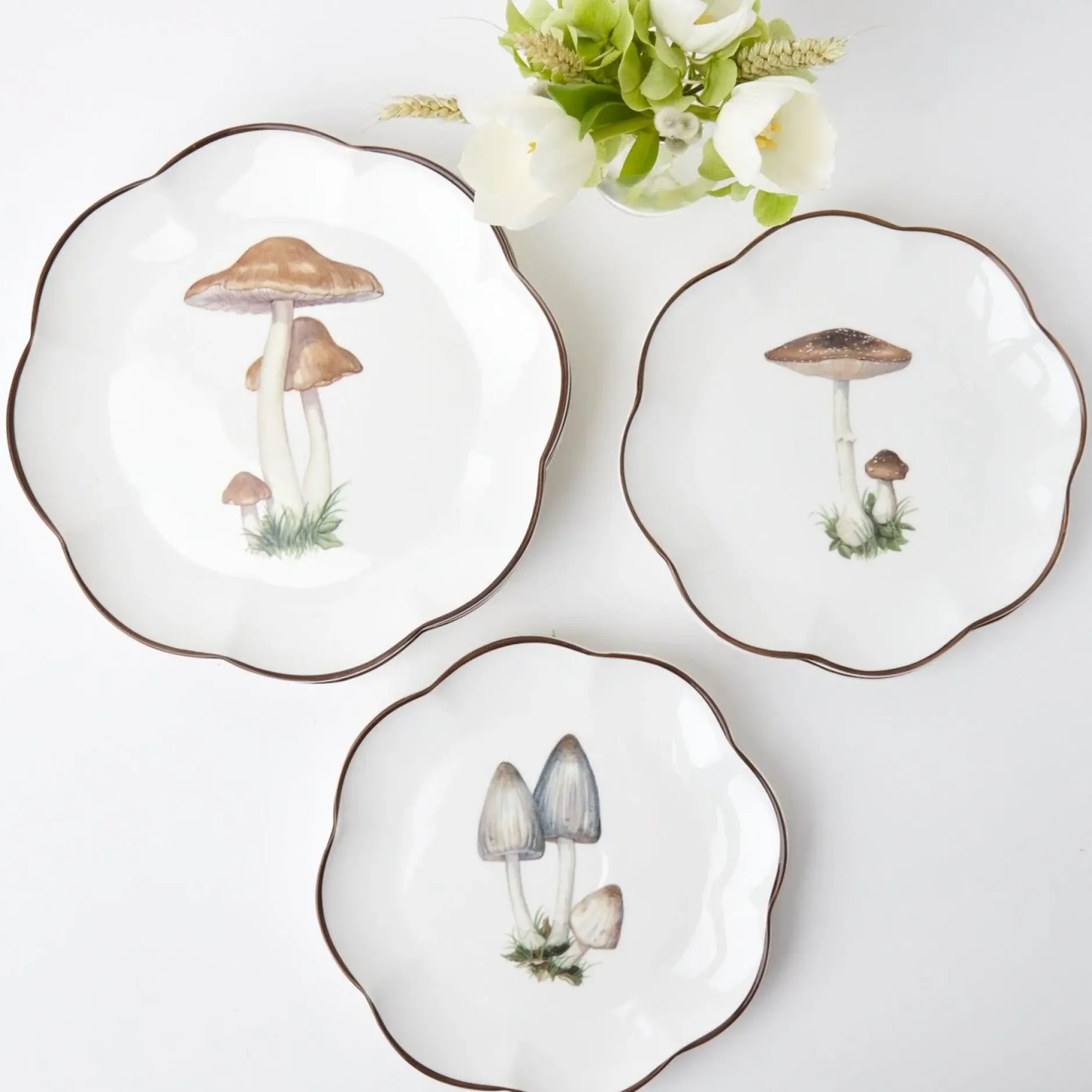 Mrs. Alice Scalloped Mushroom Dinner Plate (Set Of 4)