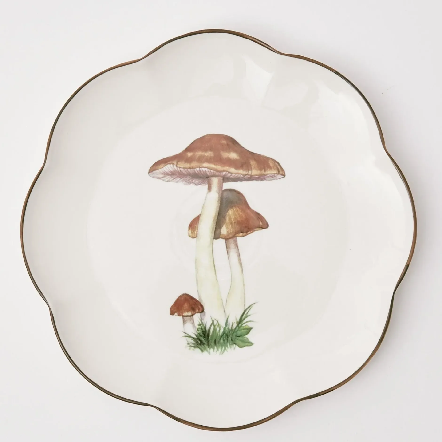 Hot Mrs. Alice Scalloped Mushroom Dinner Plate (Set Of 4)
