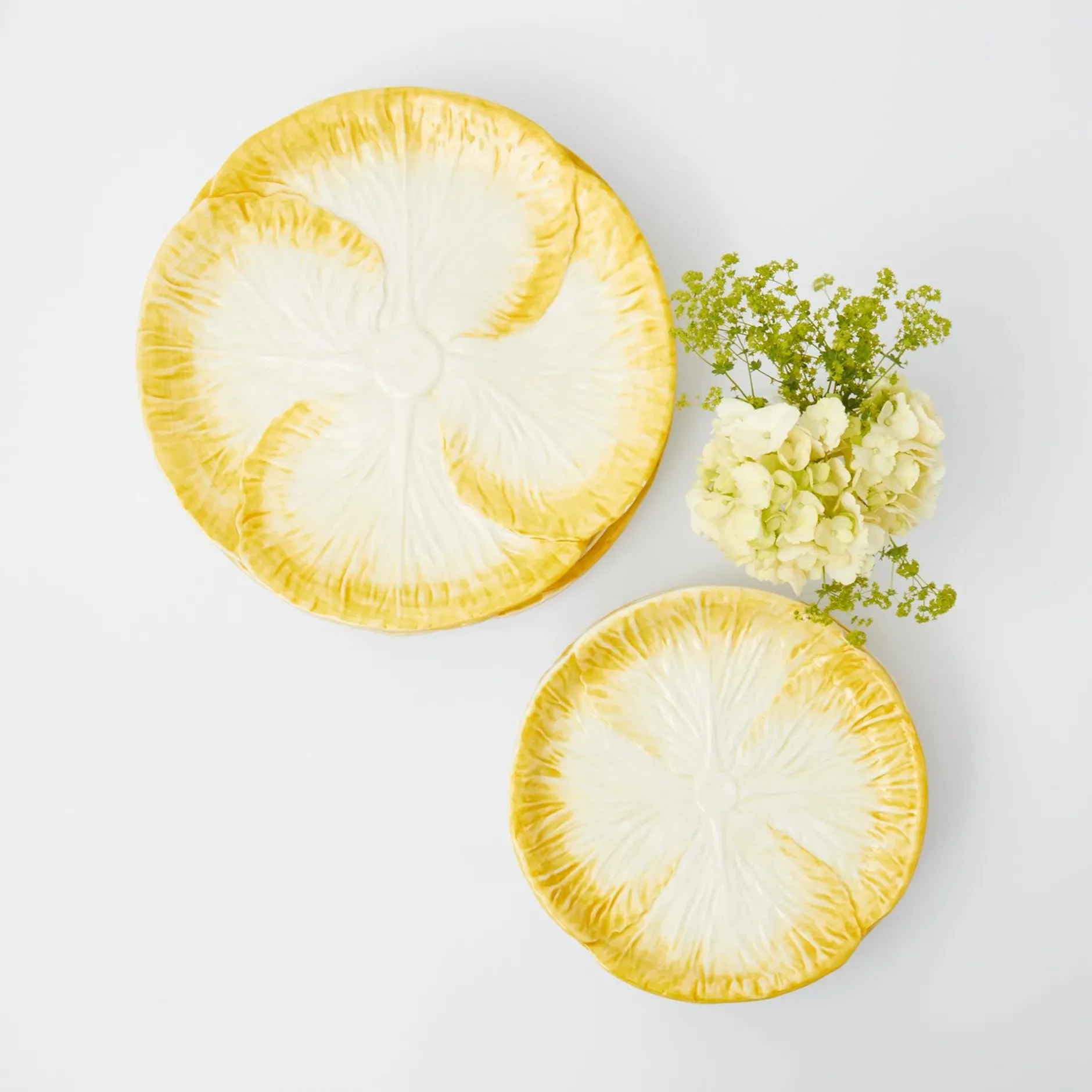 New Mrs. Alice Yellow Capri Lettuce Starter Plates (Set Of 4)